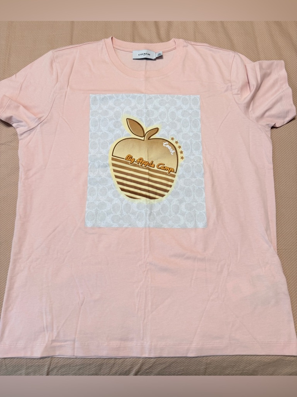 COACH 1941 "Big Apple Camp" Graphic T-Shirt